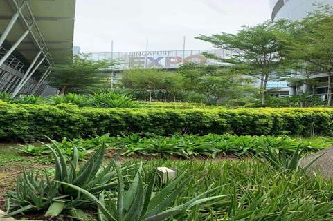 singapore expo 14